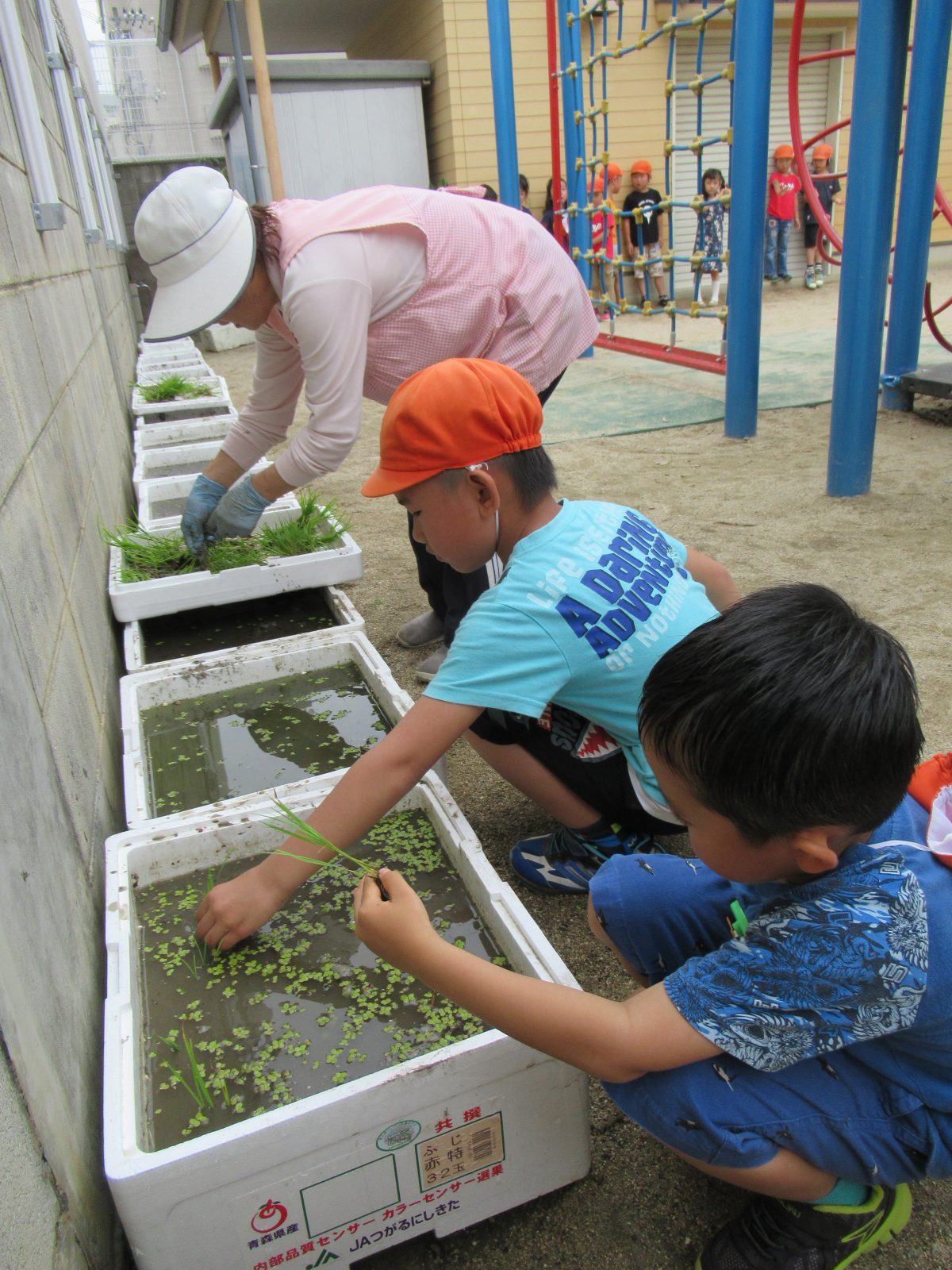 千田保育園　食育（5歳児）