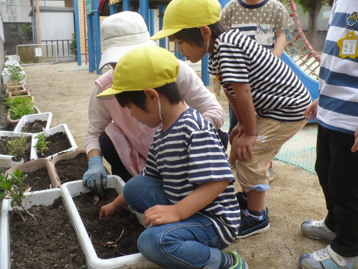千田保育園　食育（4歳児）