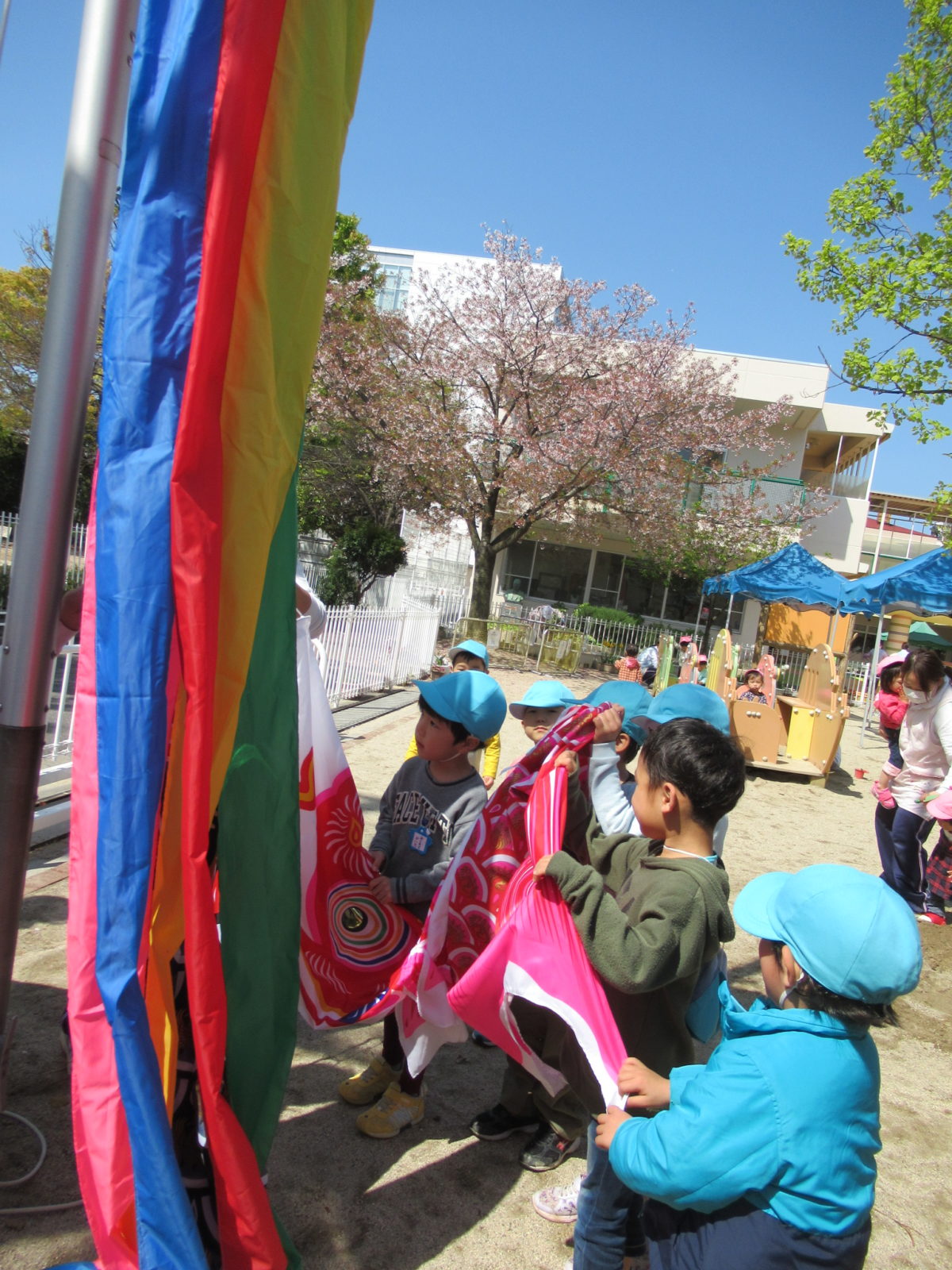 4月13日　こいのぼりをあげました