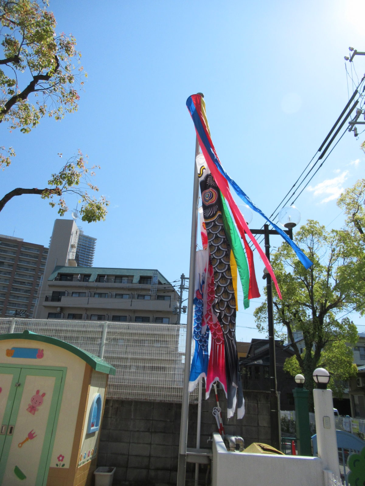保育園こどもの日について