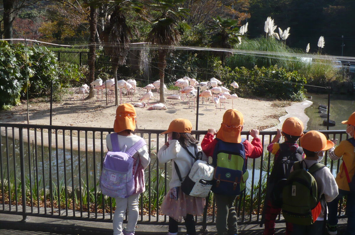 11月5日　秋の遠足